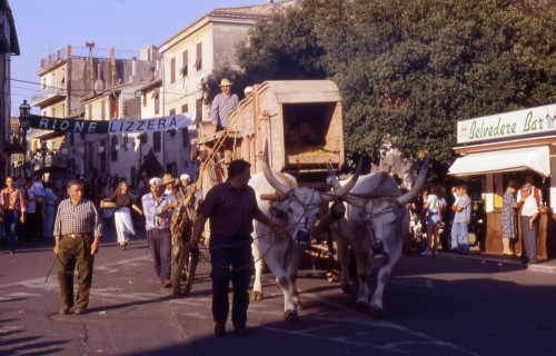 Carro trainato da due buoi, un uomo sul carro e un altro mantiene le redini, durante la sfilata dei Rioni nel 1996 in Piazza Vittorio Veneto