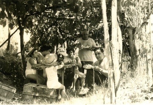 Persone pranzano in campagna