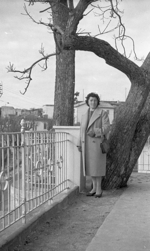 Donna tra due alberi su una terrazza