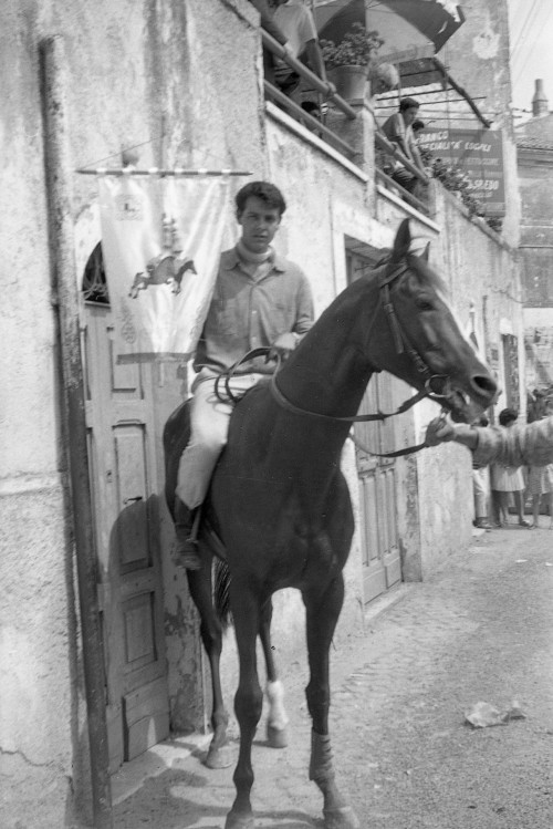 Un fantino a cavallo con uno stendardo in mano su Viale d'Italia