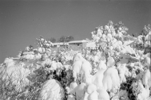 Vista di una cascina e alberi con la neve