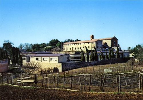 Fotografia dell'edificio della scuola media di Tolfa, sullo sfondo la chiesa e il convento dei Cappuccini